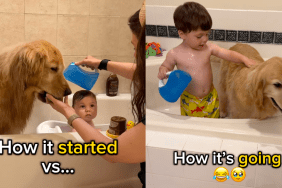 Baby takes over from mom to bathe Golden Retriever.