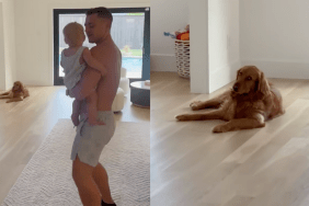 Golden Retriever giving side-eye to owner.