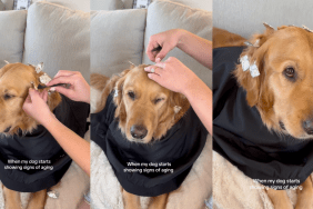 Luna getting a hair makeover.