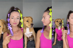 Pit Bull twinning with mom.