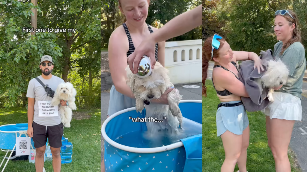 Milo getting a bath in the park.