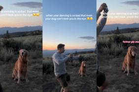 Nala the Golden Retriever judging her dad's dancing skills.
