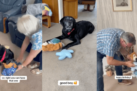 Deaf Grandparents Sing Happy Birthday for Senior Dog in Heartwarming Video