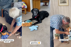 Deaf Grandparents Sing Happy Birthday for Senior Dog in Heartwarming Video