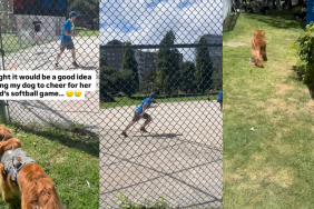 Dog helping dad run bases at Softball game.