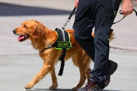 Video: Canine Police Unit Walking at the Parade Has the Internet Saying: 'Cuties on Duties'