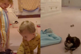 Paris Hilton's kids playing with new puppy video