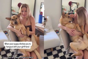 Video: Rescue Puppy Surprises Owner by Hanging Out with His Girlfriend & Sitting in Her Lap