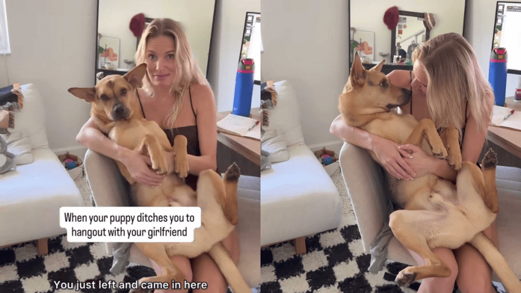 Video: Rescue Puppy Surprises Owner by Hanging Out with His Girlfriend & Sitting in Her Lap