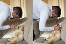 Video: ‘Cute’ Puppy Earns Free Pass From Punishment Despite Being in Trouble