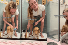 Dog getting a bath.