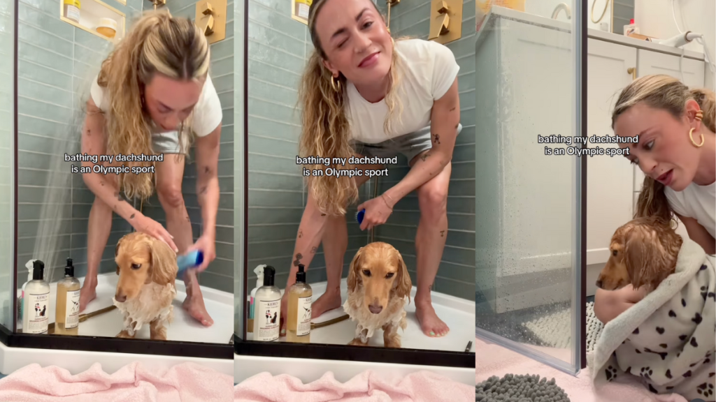Dog getting a bath.