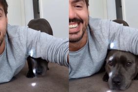 Instagram video shows dog struggling to slide under owner's arms