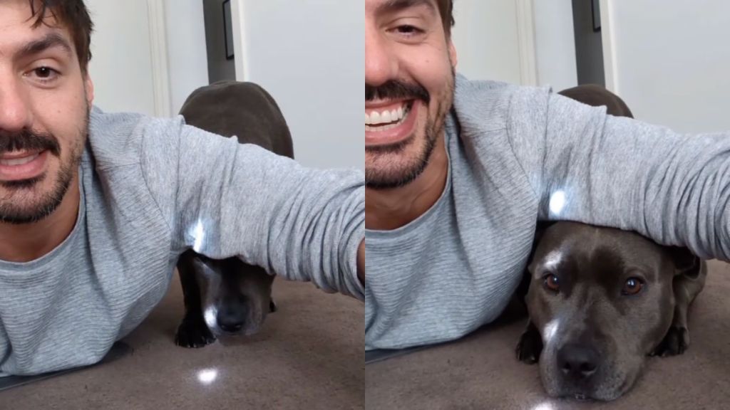 Instagram video shows dog struggling to slide under owner's arms