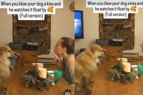 Video: Human Blows Dog a Kiss & He Watches It Float By