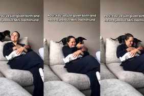 Video: ‘Jealous’ Mini Dachshund Adorably Interrupts Mom’s Time With Newborn Baby