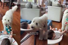 Video: Owner Shows How Goldendoodle Makes Her Kids’ Childhood ‘Memorable'