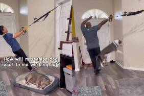Video: Senior & Younger Dogs Have Completely Opposite Reactions to Owners Working Out