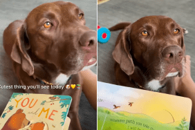 dog mom storytime video