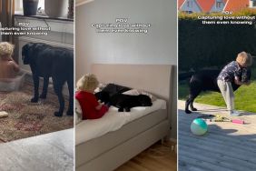 Video Shows Labrador & Little Boy’s Sweet Moments Together
