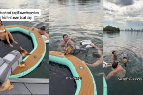 Video: Rescue Puppy Remains Calm on His First Boat Day