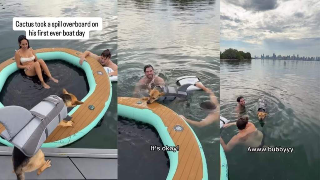 Video: Rescue Puppy Remains Calm on His First Boat Day