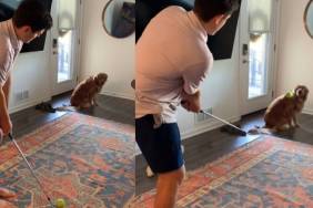 Video: Golden Retriever Assists & Coaches Dad With His Short Game Better Than You Can Think
