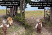 Video: Golden Retriever Exploring Nature With Toddler Is One for the Books