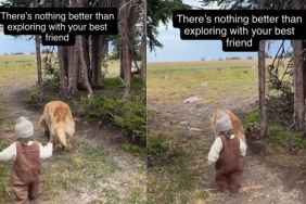 Video: Golden Retriever Exploring Nature With Toddler Is One for the Books