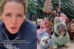 Video: Bulldog & Furry Siblings Want to Flaunt Halloween Costumes & You 'Better Say You Like It'