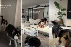 Video: First-Time Mom Navigates Life With 2 Huskies & Twins
