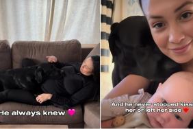 Labrador Refuses to Leave Newborn Sister's Side in Adorable Video