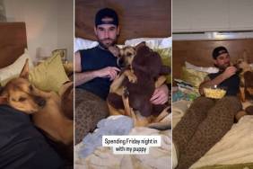 Rescue Puppy & Owner's Idea of Cozy Night Is Everything