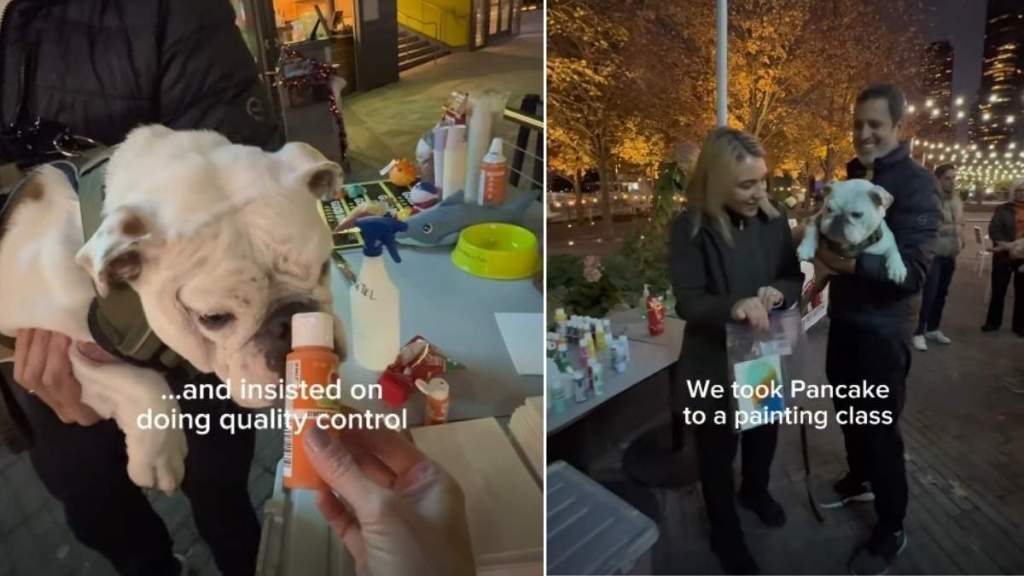 Video: Bulldog Uses Peanut Butter To Paint a Masterpiece