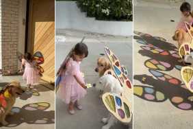 Golden Retrievers & Toddler Show Life Is a Fairytale by Doing This
