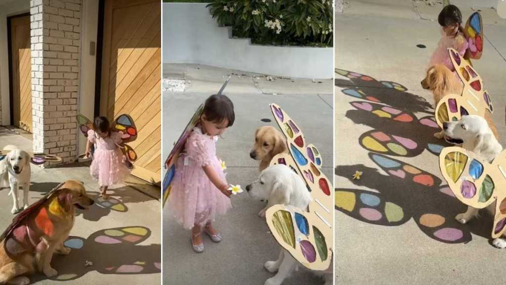 Golden Retrievers & Toddler Show Life Is a Fairytale by Doing This