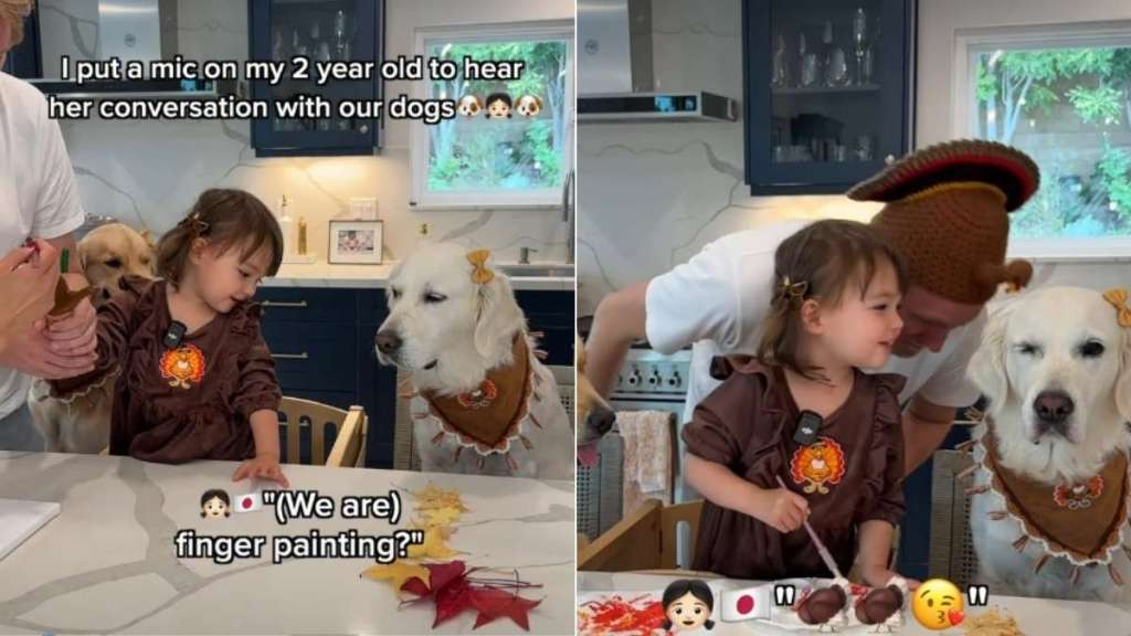Video: Golden Retrievers Painting With Toddler Will Make Your Day