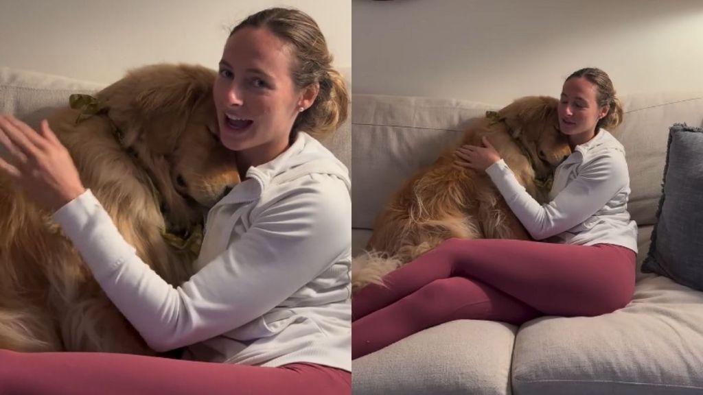 Video: Dog Has Adorable Reaction to Owner's Roommate Coming Home