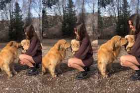 Video: Golden Retriever Reacts To Meeting His Puppies for the First Time