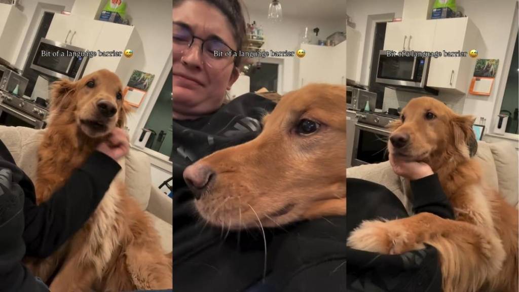 Video: Owner Faces 'Language Barrier' While Communicating With Dog