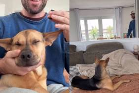 Owner Trains Rescue Puppy to Become a Therapy Dog in Cute Video