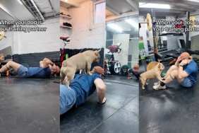Dog Takes 'Gym Partner' Label Very Seriously in Workout Video