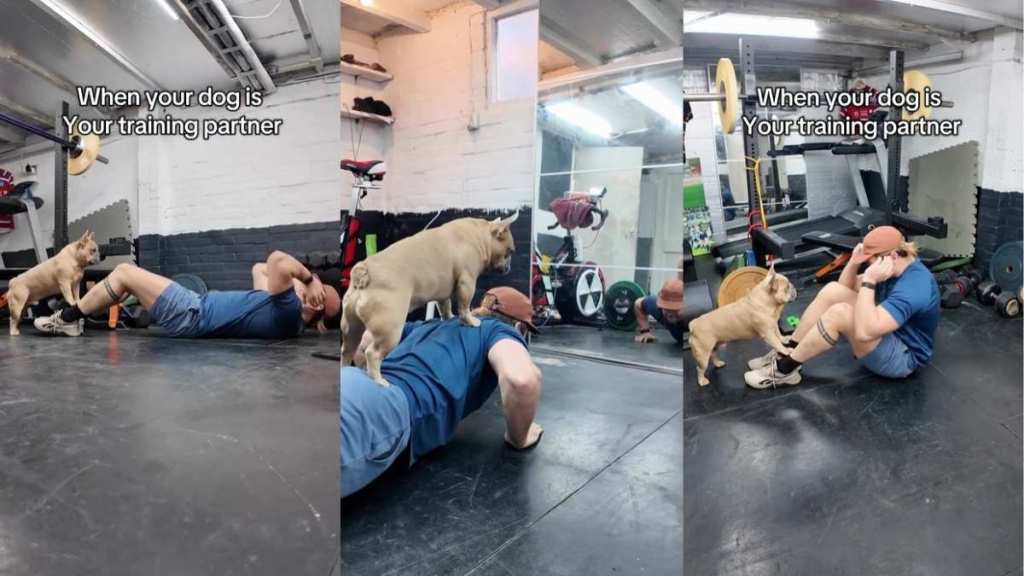 Dog Takes 'Gym Partner' Label Very Seriously in Workout Video