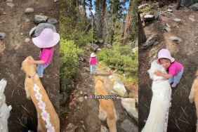 Video: Toddler Asks Golden Retrievers to 'Walk Slowly' During Hike