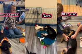 Video: Foster Puppy Gets Adopted by First Friend at School