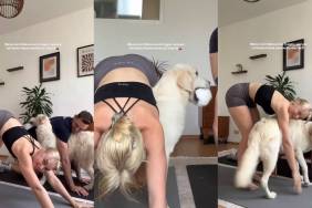 Golden Retriever Joins Owners in Yoga Video & The Result Is Everything