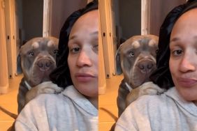 Video Shows This XL Bully Is 'Just a Baby'