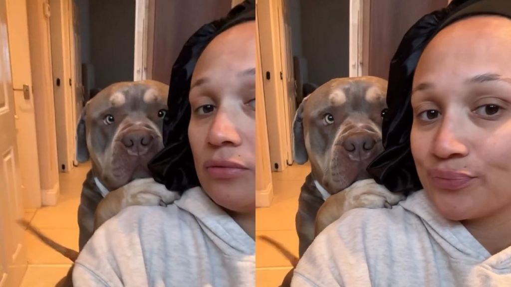 Video Shows This XL Bully Is 'Just a Baby'