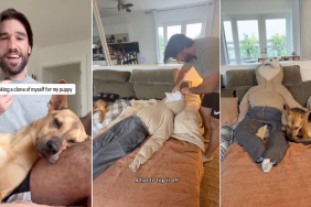 Video: Owner Does This Trick To Solve Rescue Puppy’s ‘Loneliness'