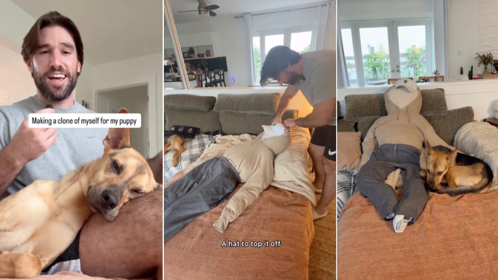 Video: Owner Does This Trick To Solve Rescue Puppy’s ‘Loneliness'